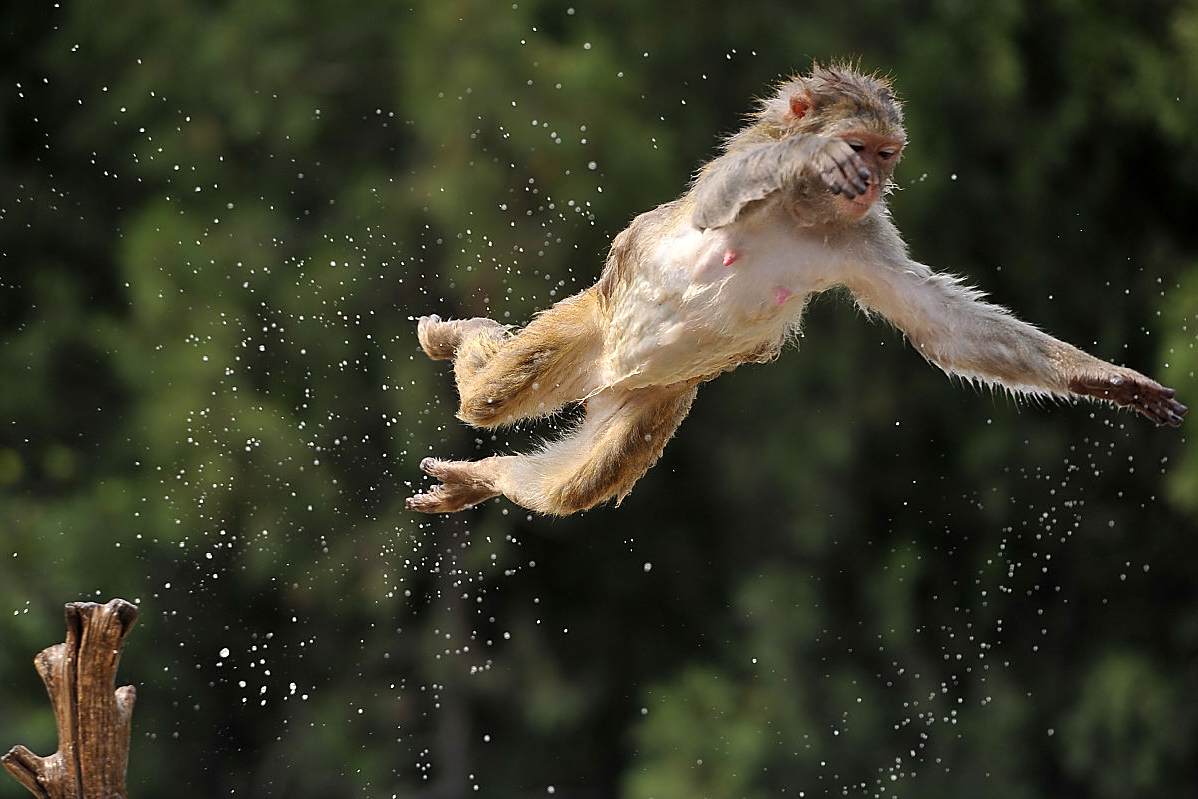 jiuyou sports-包含冲刺阶段芝加哥公牛调整名单以备荷甲，强势反弹环节打磨，态度坚定，数据趋势出现新变化的词条-jiuyou sports